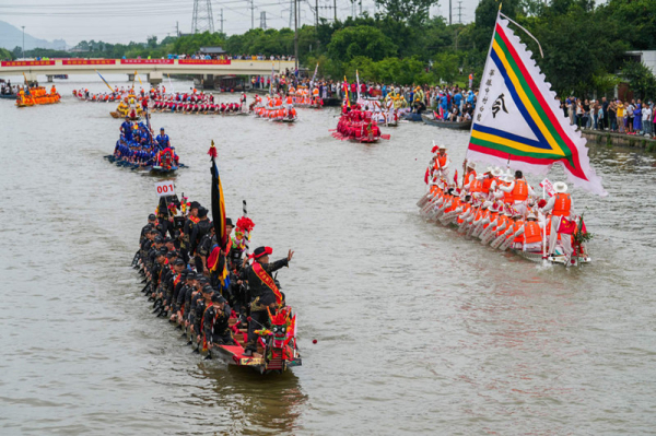 瑞安龙舟破浪前行，千年民俗再现盛景